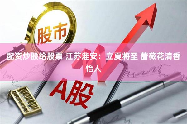 配资炒股给股票 江苏淮安：立夏将至 蔷薇花清香怡人