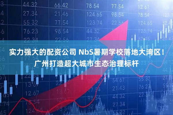 实力强大的配资公司 NbS暑期学校落地大湾区！广州打造超大城市生态治理标杆